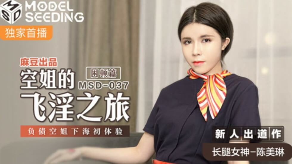 【陈美琳】真空上阵的制服诱惑！负债空姐被迫下海肉偿高额债务 痴女航班内裤湿透的初体验